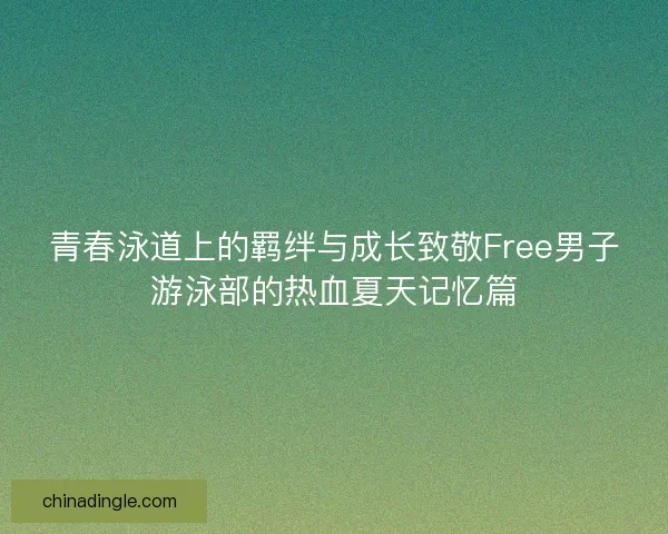青春泳道上的羁绊与成长致敬Free男子游泳部的热血夏天记忆篇
